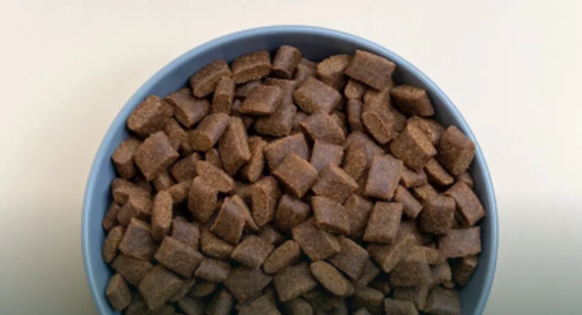 Alimentos para perros